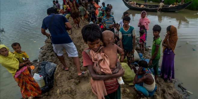 Pengungsi Rohingya. Foto: Anadolu